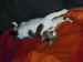 Thumbs/tn_Jacky 013.jpg